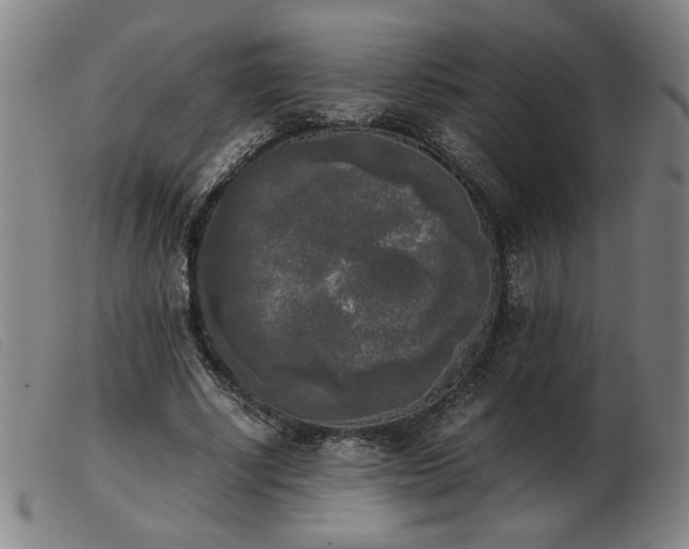 X0000103900634200809191239