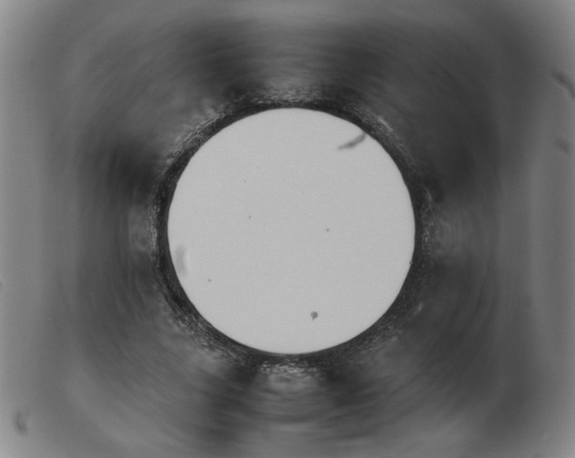 X0000103900635200809191239
