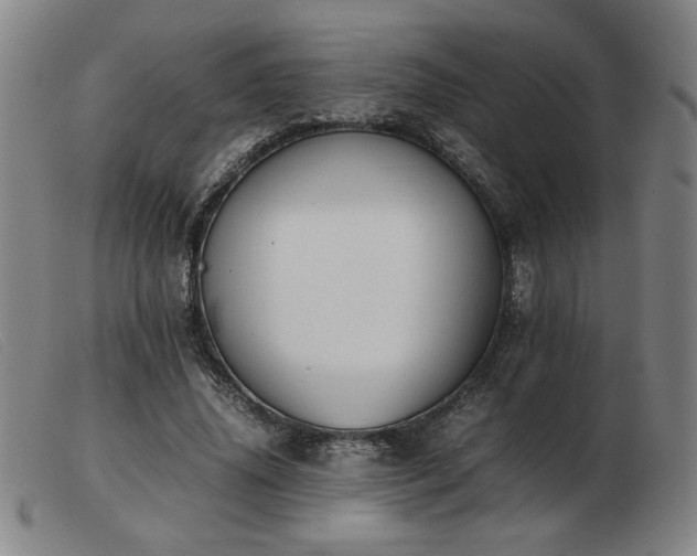 X0000103900636200809191239