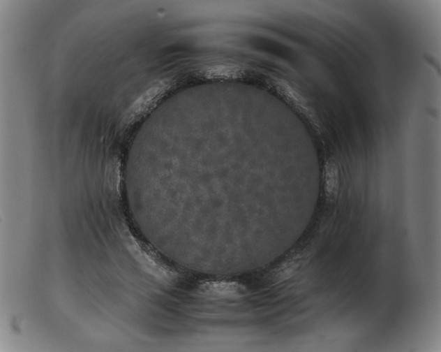 X0000103900637200809191239