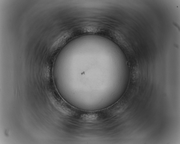 X0000103900639200809191239
