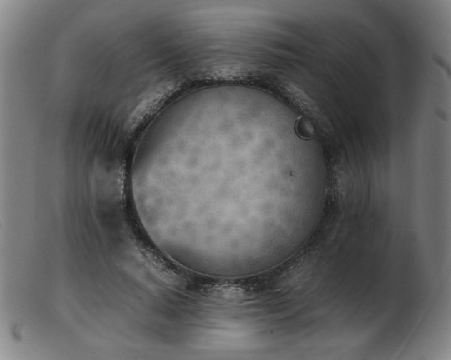 X0000103900640200809191239