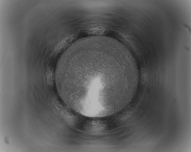 X0000103900641200809191239