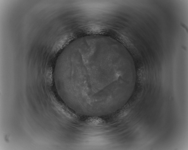X0000103900642200809191239