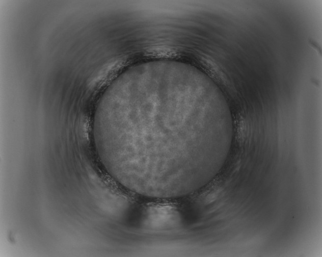 X0000103900643200809191239