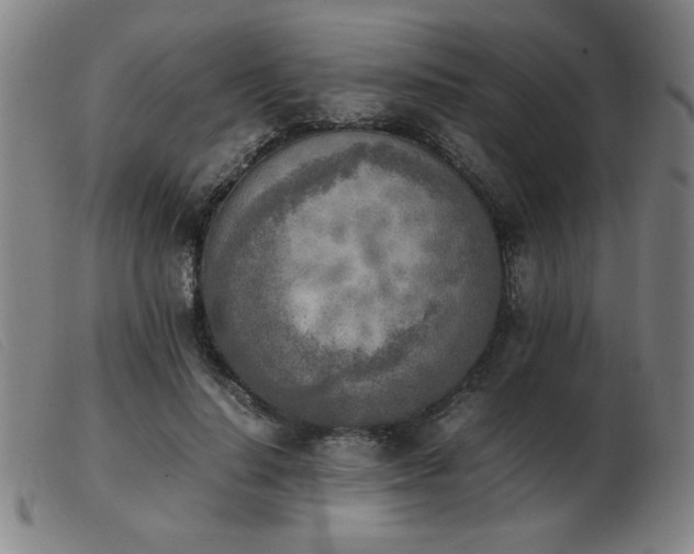 X0000103900644200809191239