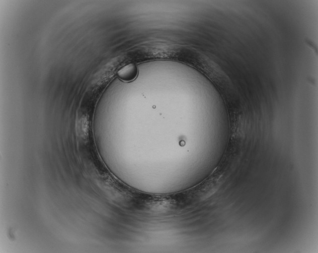 X0000103900646200809191239