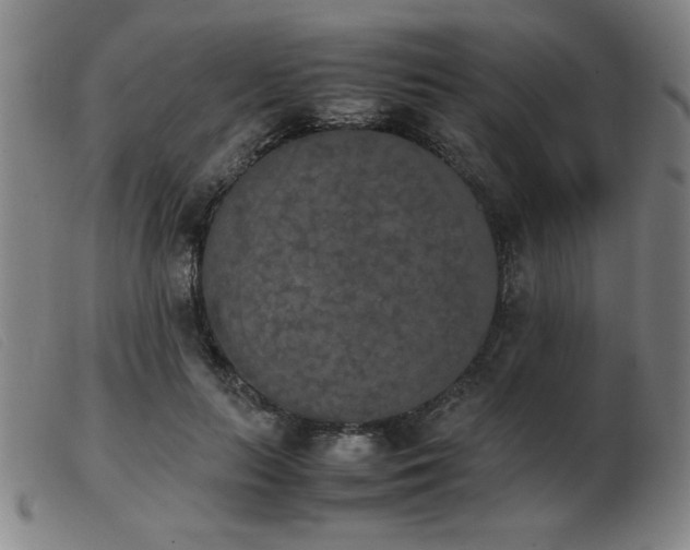 X0000103900647200809191239