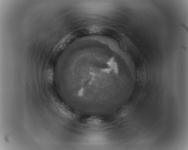 X0000103900648200809191239