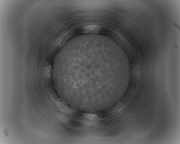 X0000103900649200809191239