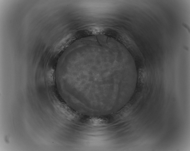 X0000103900650200809191239
