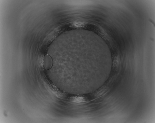 X0000103900651200809191239