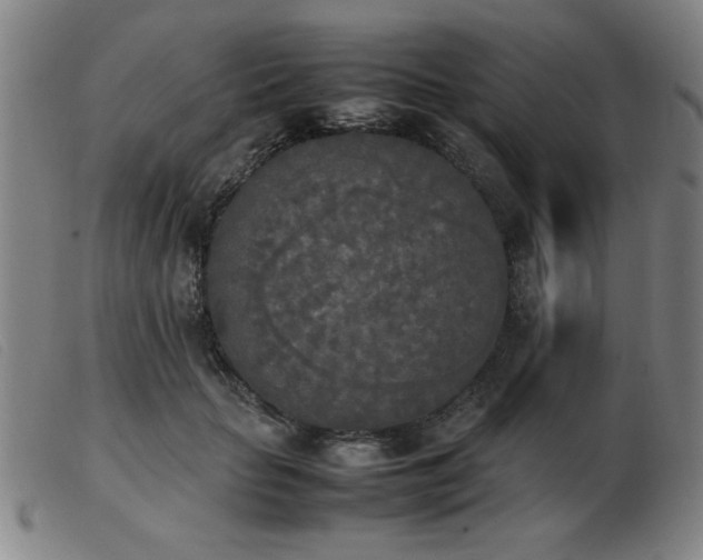 X0000103900653200809191239