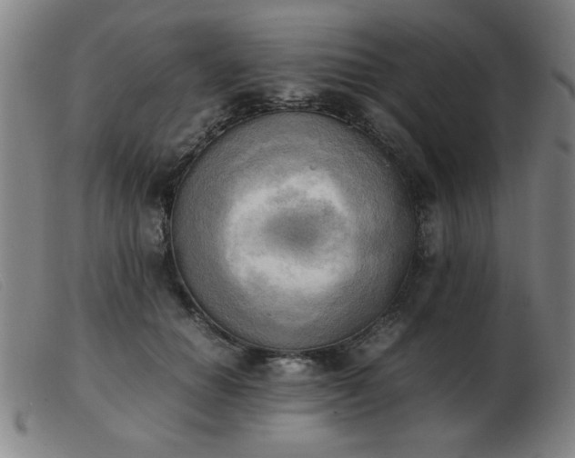 X0000103900654200809191239