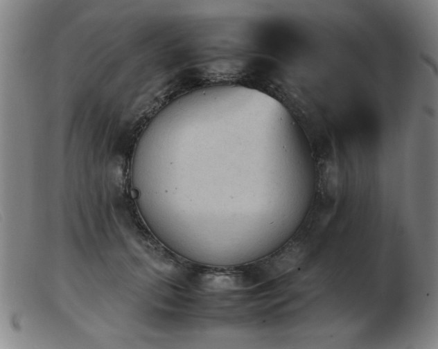 X0000103900655200809191239