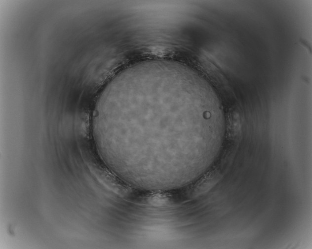 X0000103900656200809191239