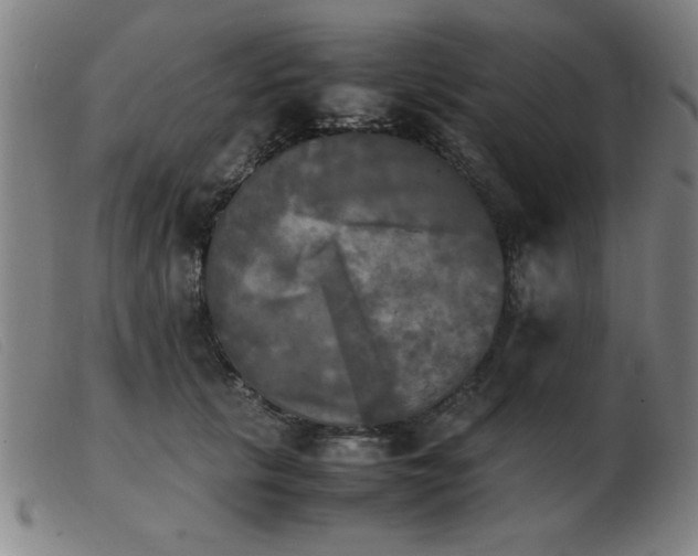 X0000103900657200809191239