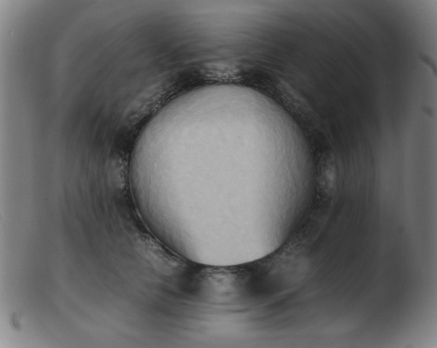 X0000103900658200809191239