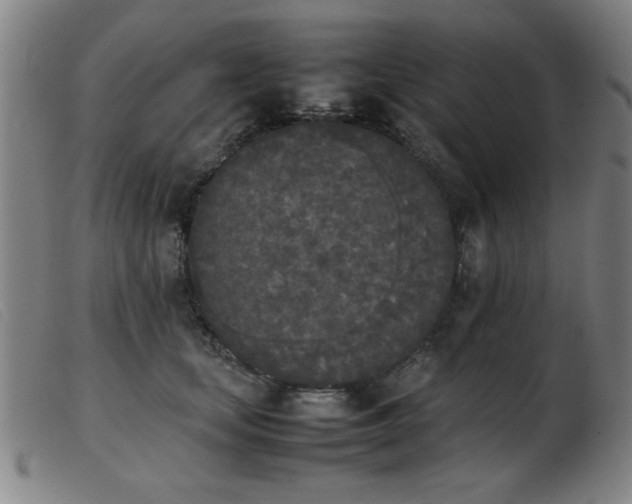 X0000103900659200809191239