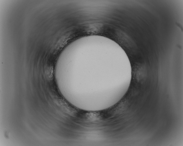 X0000103900660200809191239
