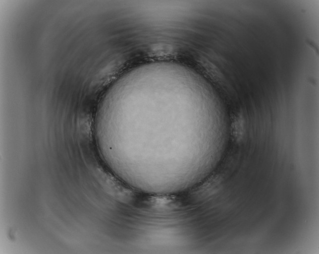 X0000103900662200809191239