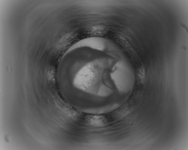 X0000103900663200809191239