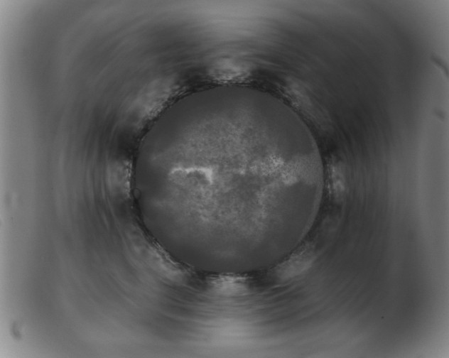 X0000103900664200809191240