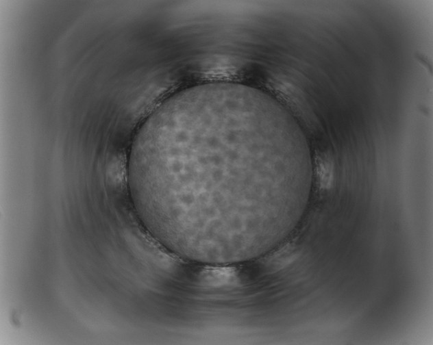 X0000103900665200809191240