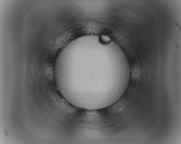 X0000103900666200809191240