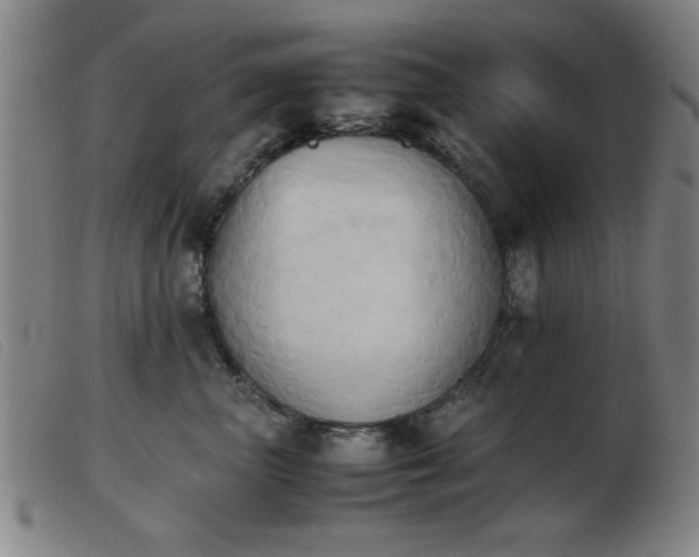 X0000103900667200809191240