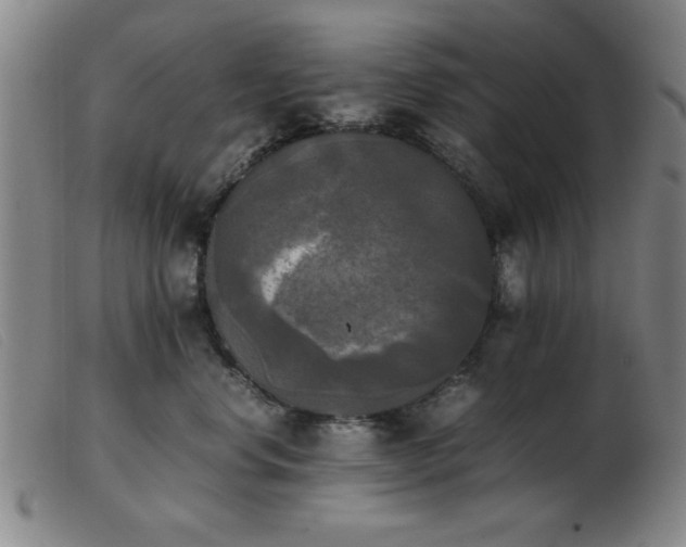 X0000103900668200809191240