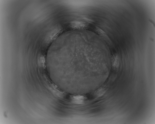 X0000103900669200809191240