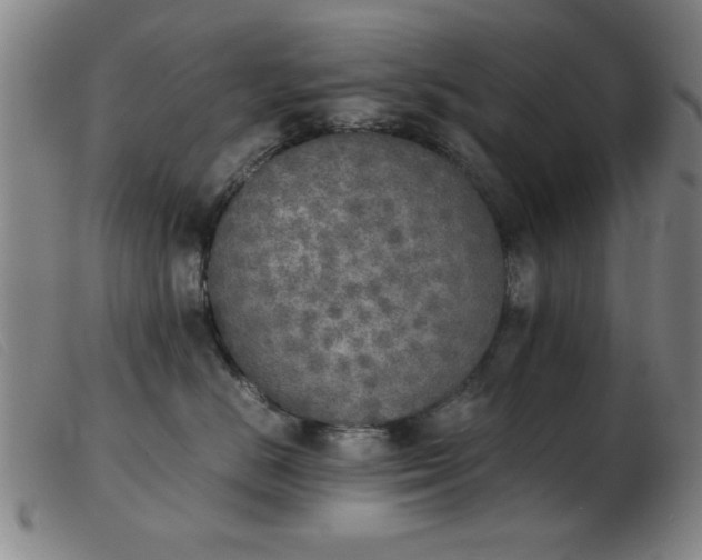 X0000103900670200809191240