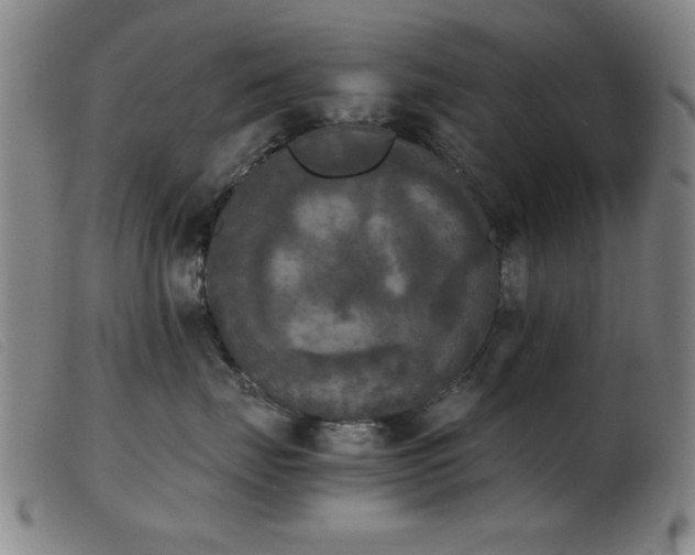 X0000103900671200809191240