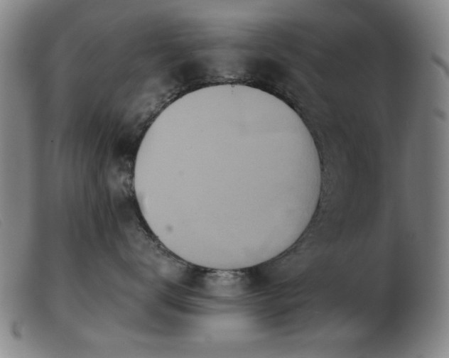 X0000103900672200809191240