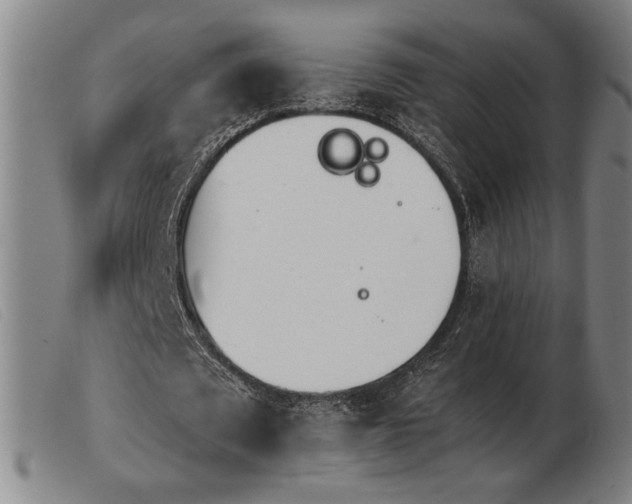 X0000103900673200809191239