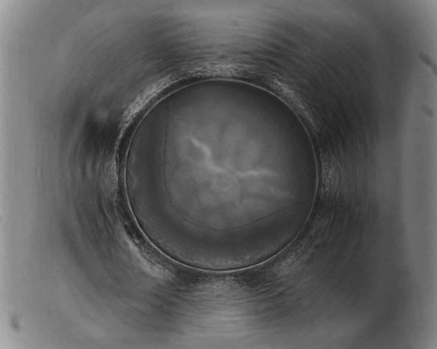X0000103900674200809191239