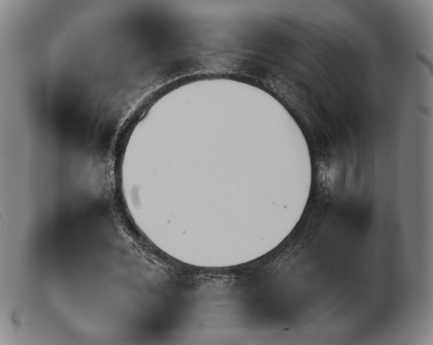 X0000103900676200809191239