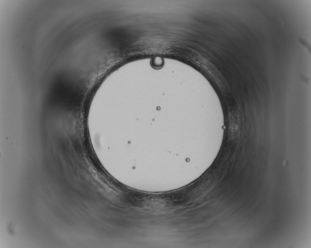 X0000103900677200809191239