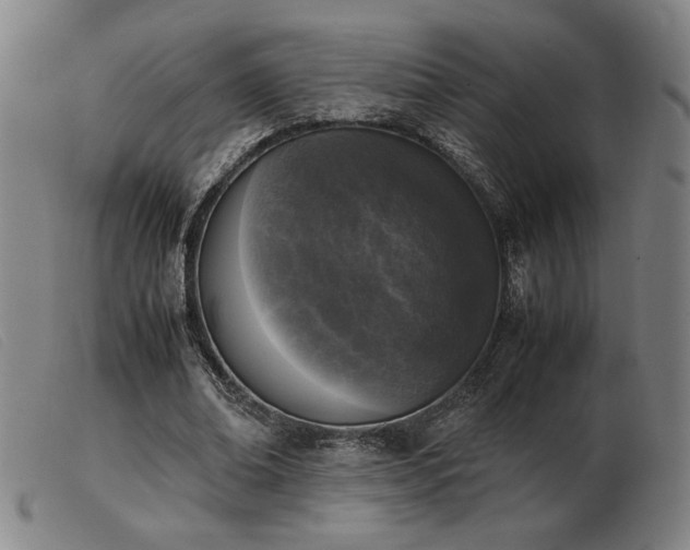 X0000103900678200809191239