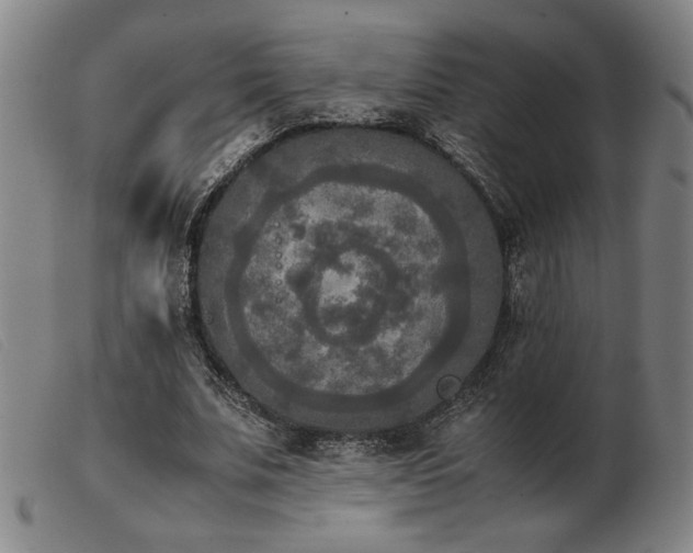 X0000103900679200809191239
