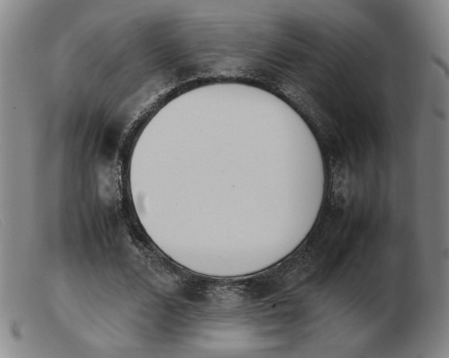 X0000103900680200809191239