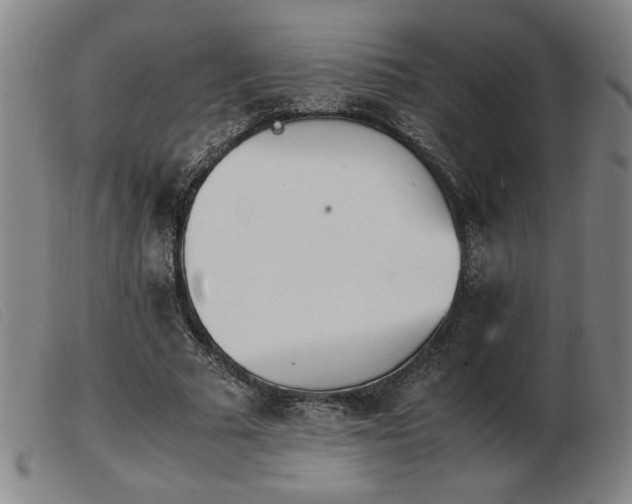 X0000103900681200809191239