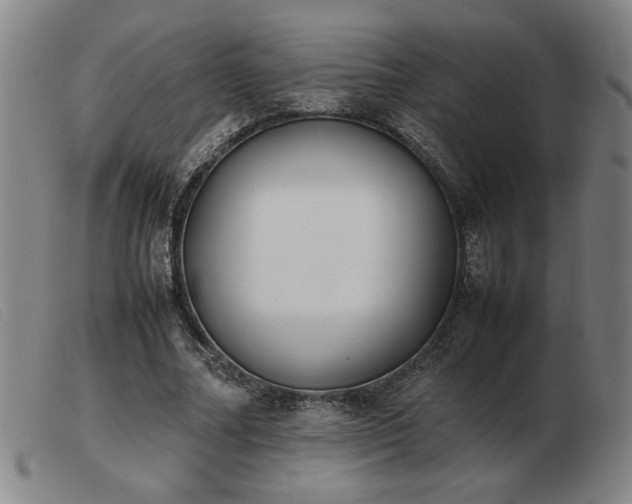 X0000103900682200809191239