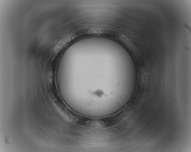 X0000103900683200809191239