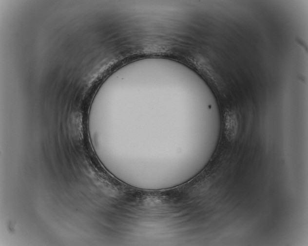 X0000103900684200809191239