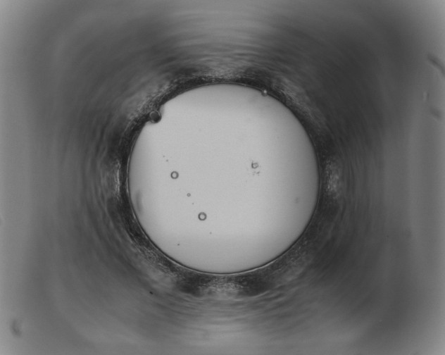 X0000103900685200809191239