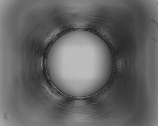 X0000103900686200809191239