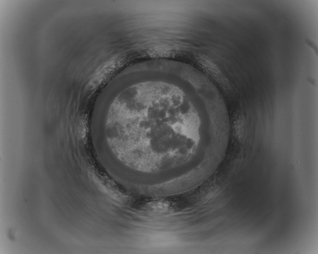 X0000103900687200809191239