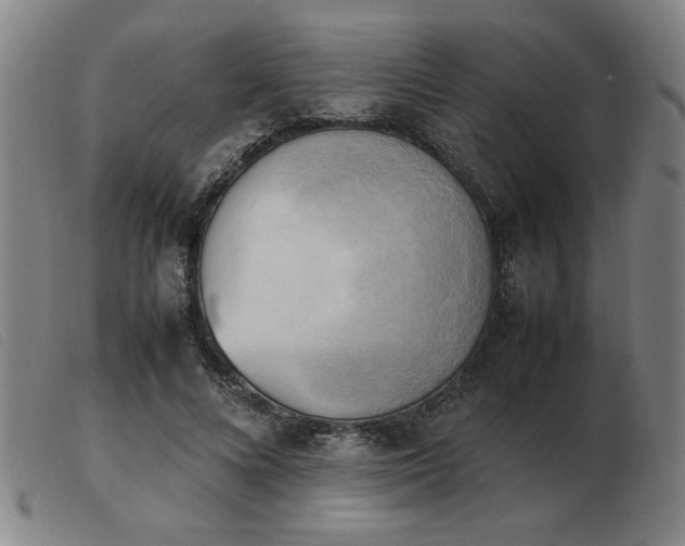 X0000103900688200809191239
